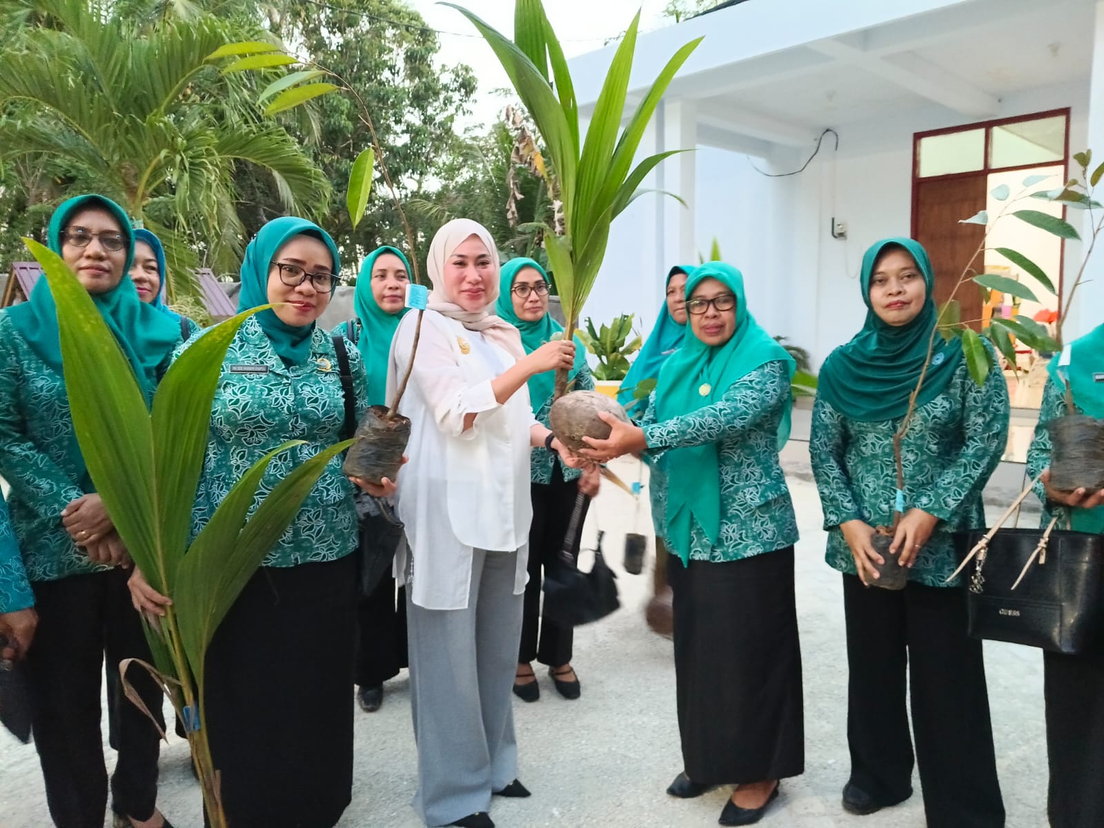 Tingkatkan Kesejahteraan, PKK Muna Barat Salurkan  Bibit Hortikultura