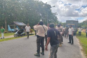 Tegakkan Perda, Tim Gabungan Gelar Penertiban Hewan Ternak Ketiga di Delapan Desa di Muna Barat